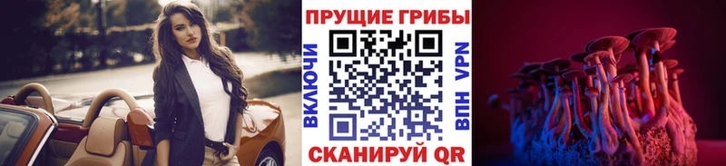 Галлюциногенные грибы GOLDEN TEACHER  дарнет шоп  hydra ТОР  Краснозаводск 